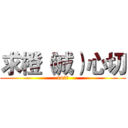 求橙（诚）心切 (142班)