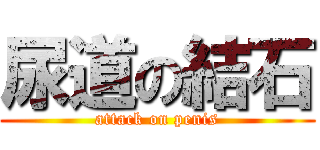 尿道の結石 (attack on penis)