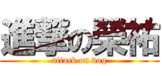 進撃の榮祐 (attack on dog)