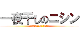 一夜干しのニシン (attack on titan)