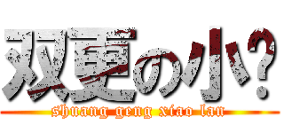 双更の小懒 (shuang geng xiao lan)