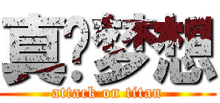真诚梦想 (attack on titan)