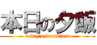 本日の夕飯 (today's breakfast)