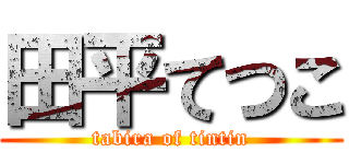 田平てつこ (tabira of tintin)