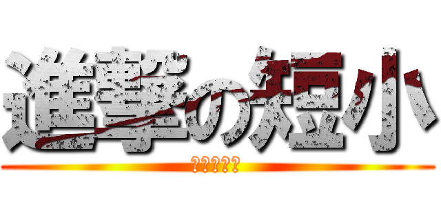 進撃の短小 (反撃の貧乳)