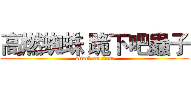 高燃蜘蛛 跪下吧蟲子 (attack on titan)