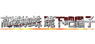 高燃蜘蛛 跪下吧蟲子 (attack on titan)