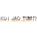 ＫＯＩ ＪＡＯ ＴＵＭＩ？ (vp sirer room e cholo)