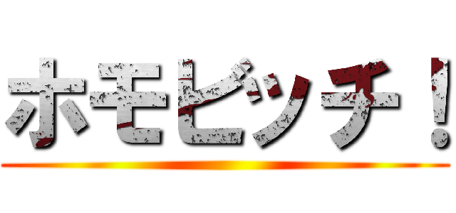 ホモビッチ！ ()