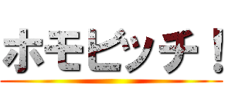 ホモビッチ！ ()