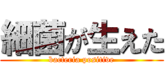 細菌が生えた (bacteria positive)