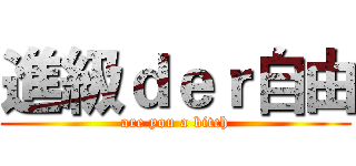 進級ｄｅｒ自由 (are you a bitch)