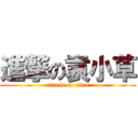 進撃の袁小草 (attack on titan)