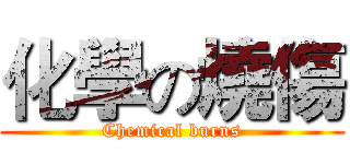 化學の燒傷 (Chemical burns)
