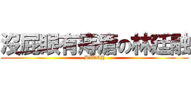 沒屁眼有痔瘡の林廷融 (BITCH)