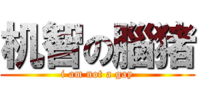 机智の腦猪 (i am not a gay)