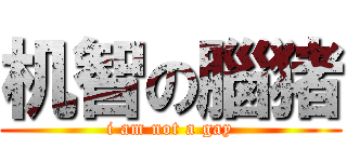 机智の腦猪 (i am not a gay)