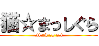 猫☆まっしぐら (attack on cat)