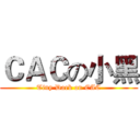 ＣＡＣの小黑 (Tiny·Dark on CAC)