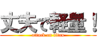 丈夫で軽量！ (attack on titan)