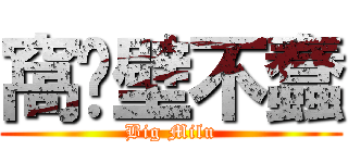 窩絕壁不蠢 (Big Milu)