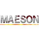 ＭＡＥＳＯＮ ()