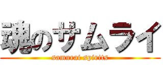 魂のサムライ (samurai spirits)