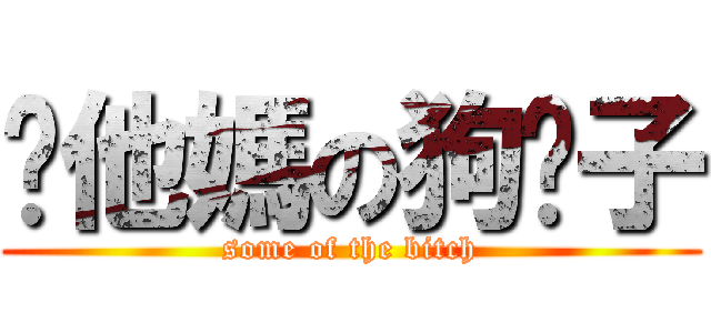 你他媽の狗婊子 (some of the bitch)