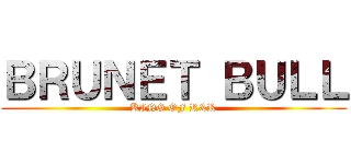 ＢＲＵＮＥＴ ＢＵＬＬ (KING OF R&R)