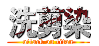 洗剪染 (attack on titan)