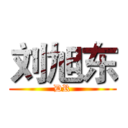刘旭东 (DR)