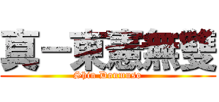 真－東憲無雙 (Shin Donmuso)