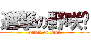 進撃の野咲堇 (attack on titan)