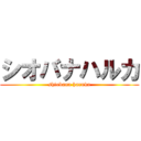 シオバナハルカ (shiobana haruka)