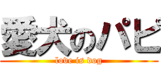 愛犬のパピ (love is dog)