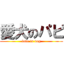 愛犬のパピ (love is dog)