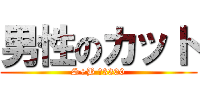 男性のカット (S+B ￥3300)