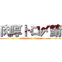 肉厚トロ〆鯖 (attack on titan)