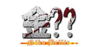 金晓飞 (Niko Bellic)