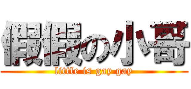假假の小哥 (little is gay gay)