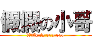 假假の小哥 (little is gay gay)