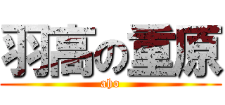 羽高の重原 (aho)