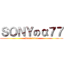 ＳＯＮＹのα７７ (Dual seven)