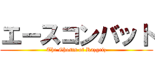 エースコンバット (The Ghosts of Razgriz)
