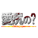 愛尻の鑫 (I\'m gay )