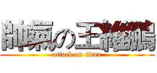 帥氣の王維鵬 (attack on titan)