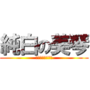 純白の美琴 (～卒業する独身～)