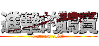 進擊的鵲寶 (i am so cute!)