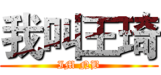 我叫王琦 (IM NB)