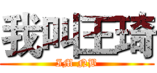 我叫王琦 (IM NB)